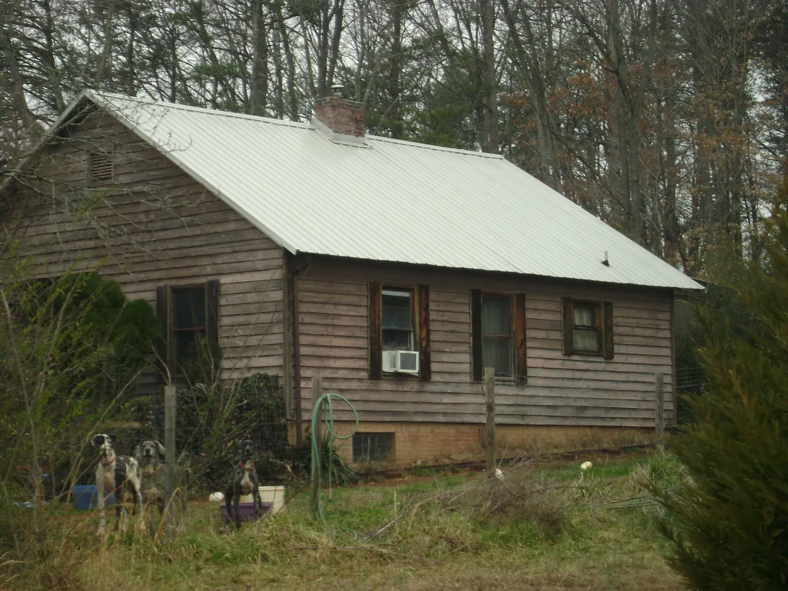 White metal roof on an old wood sided farmhouse in Riddleton